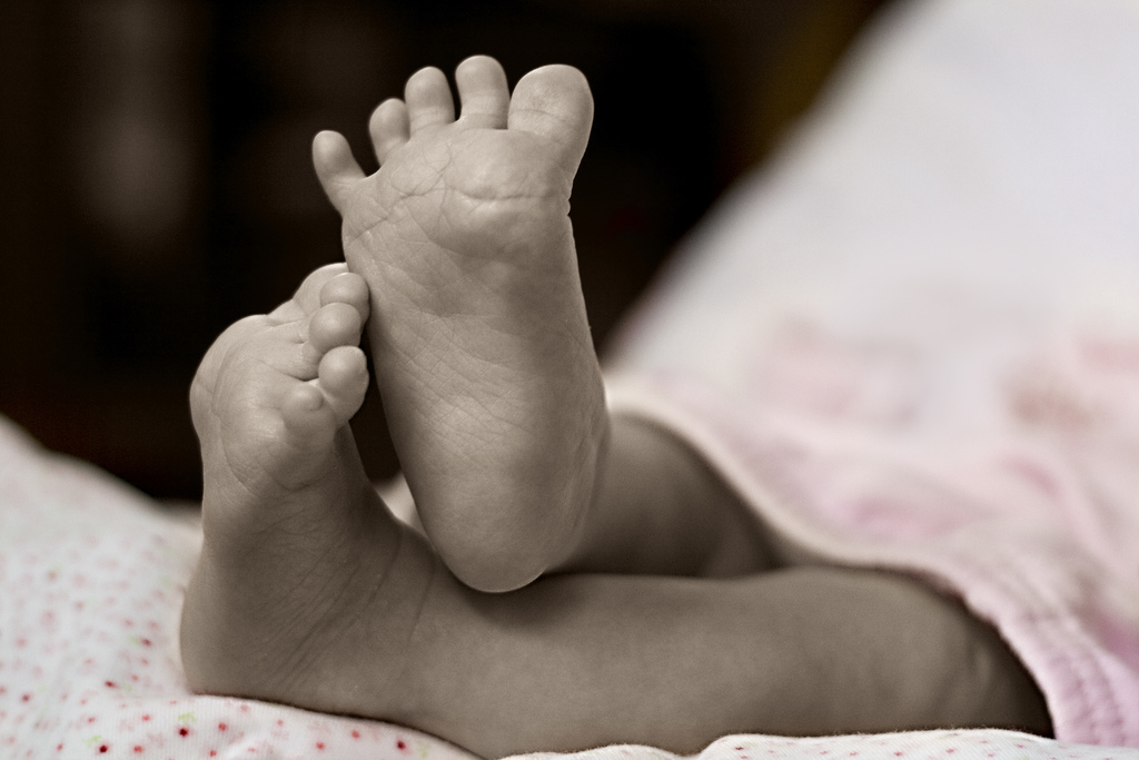 3878159054_0b660ef18e_b