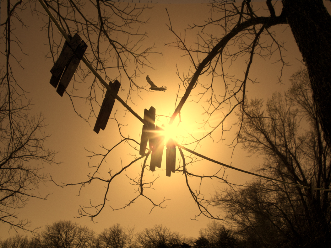 4505401782_555c15d454_o