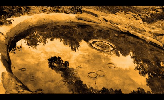 4303163180_30629e2e08_o