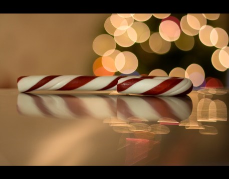 3130969961_79b2d794b0_o