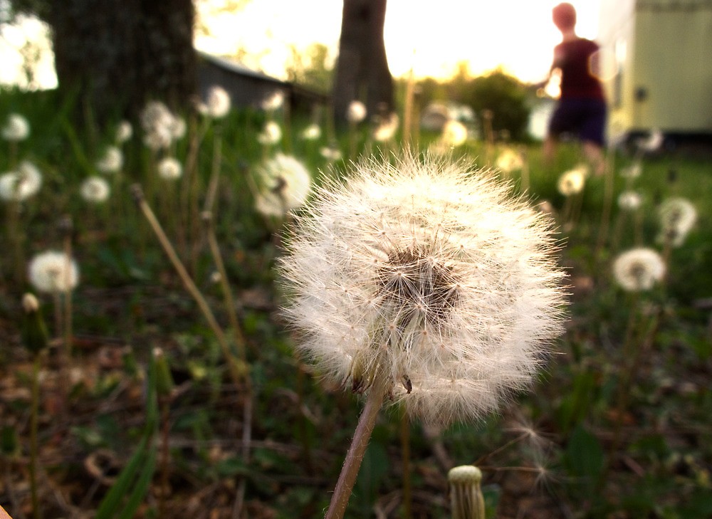 flat,1000x1000,075,f